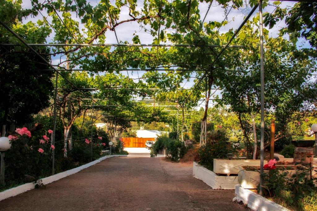 קומנון Athineos Apartments מראה חיצוני תמונה