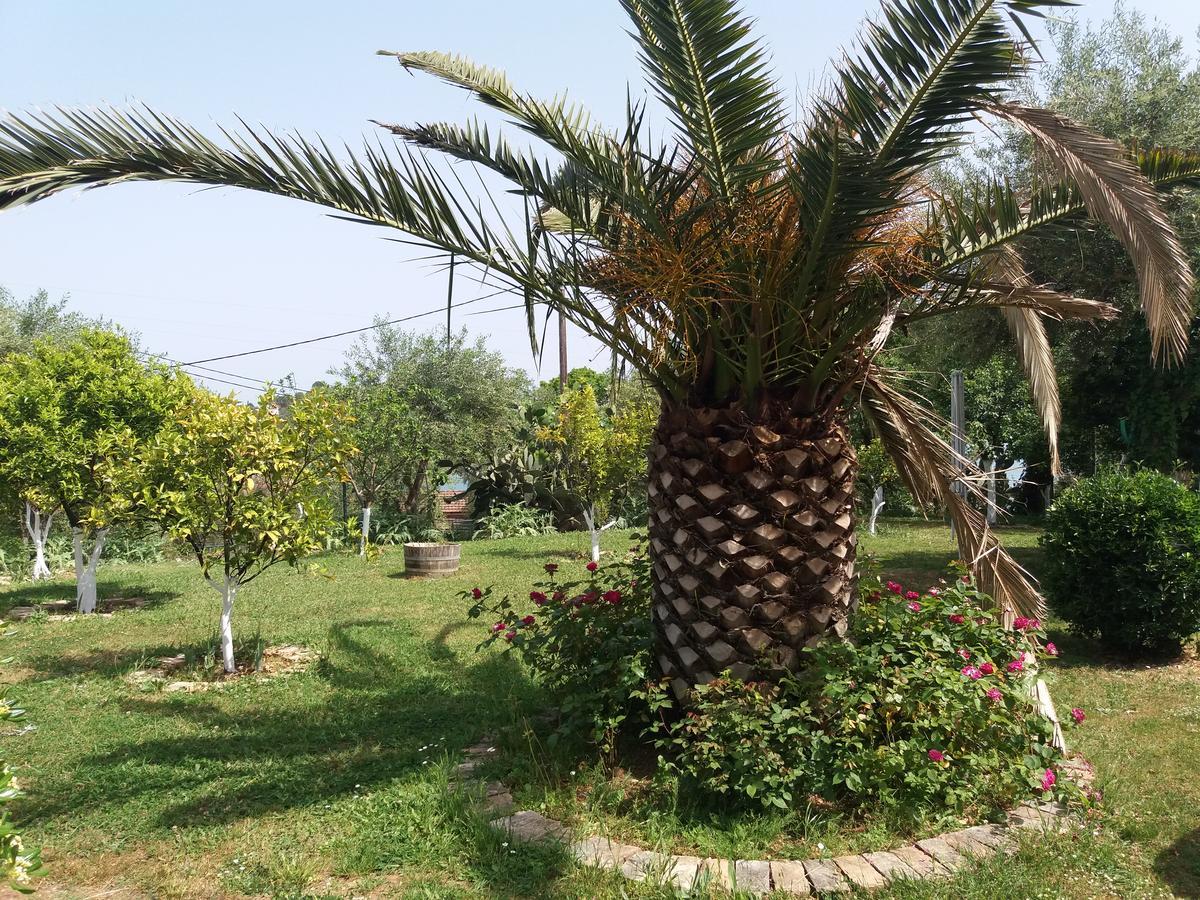 קומנון Athineos Apartments מראה חיצוני תמונה
