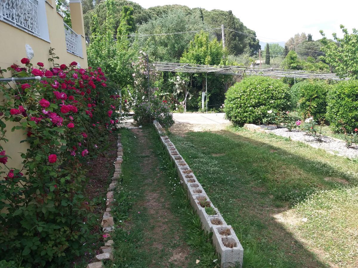 קומנון Athineos Apartments מראה חיצוני תמונה