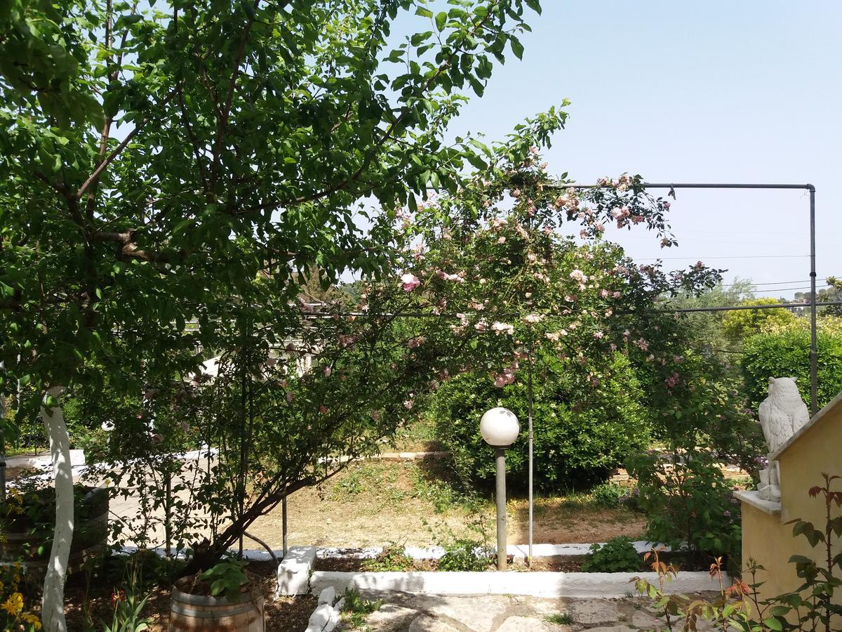 קומנון Athineos Apartments מראה חיצוני תמונה