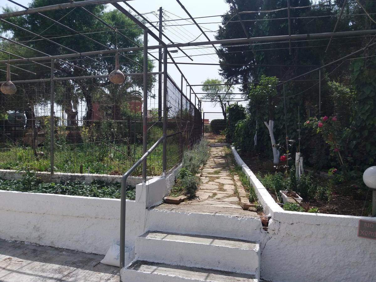 קומנון Athineos Apartments מראה חיצוני תמונה